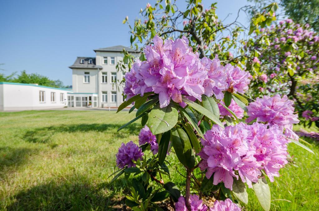 קמניץ Hotel Siegmar Im Geschaftshaus מראה חיצוני תמונה